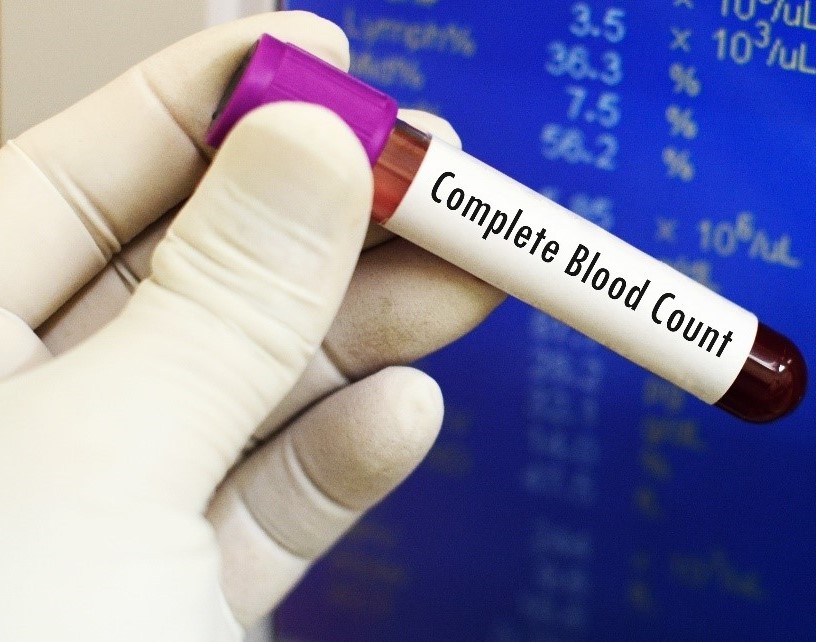 Complete Blood Count (cbc)
